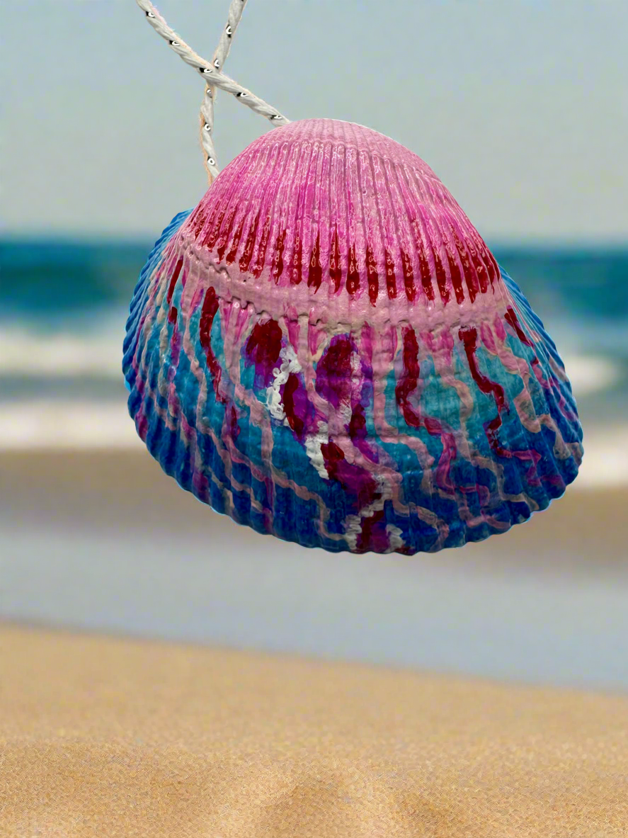 Set of 3 Double Sided Hand Painted Ocean Themed Seashell Ornaments